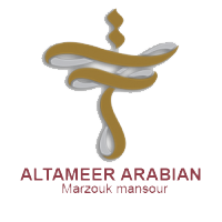 Developer Logo