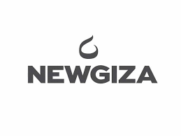 Developer Logo