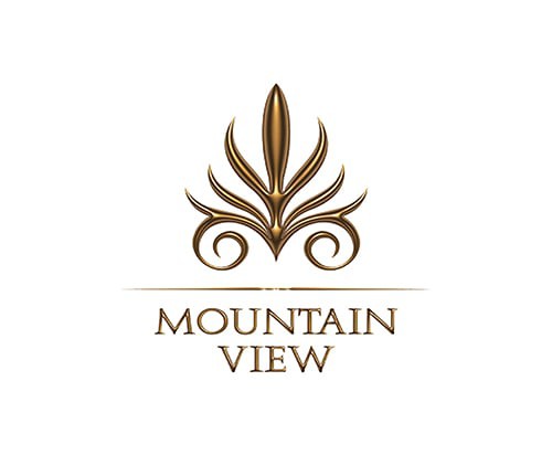 Developer Logo