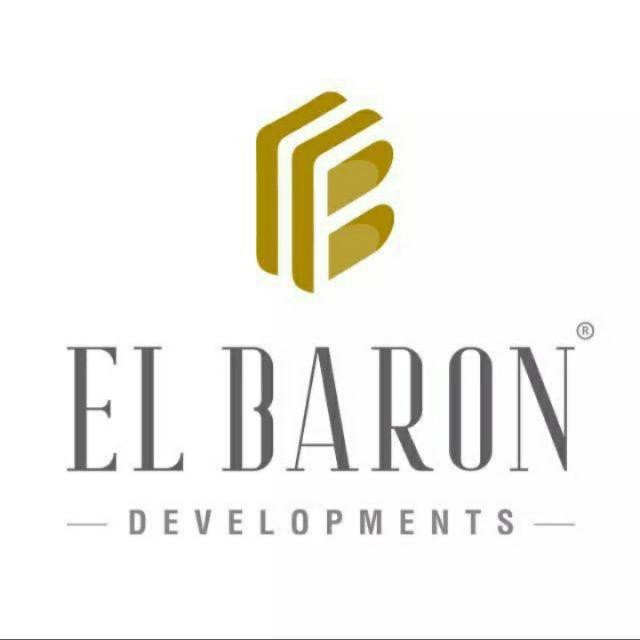 Developer Logo